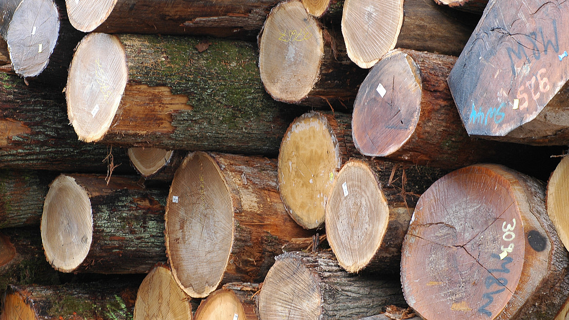 The photo shows wood pile