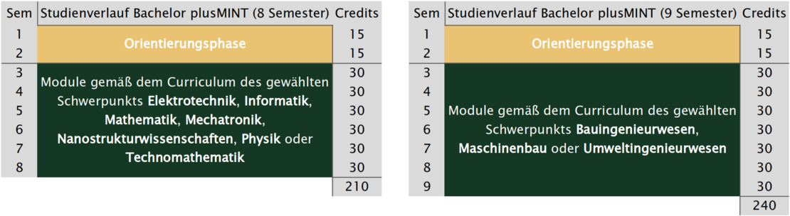 Übersicht über den gesamten Studienverlauf des plusMINT-Studiums