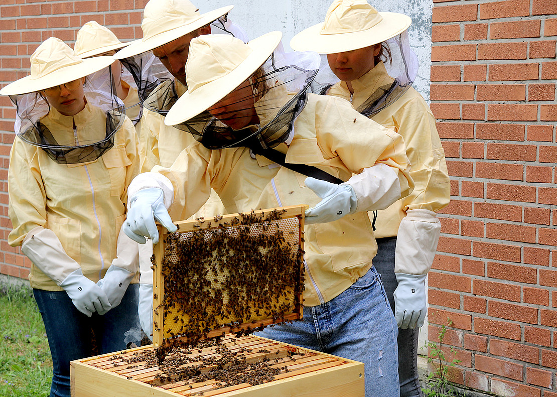 Charlotte Wolff with students at the teaching apiary